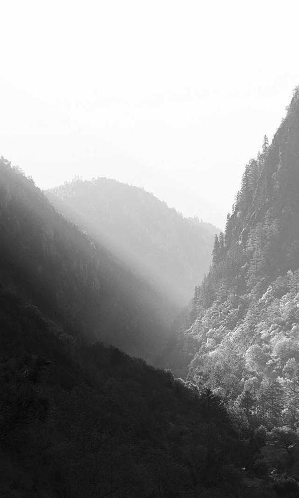 The Future of WhatsApp Marketing in East Africa